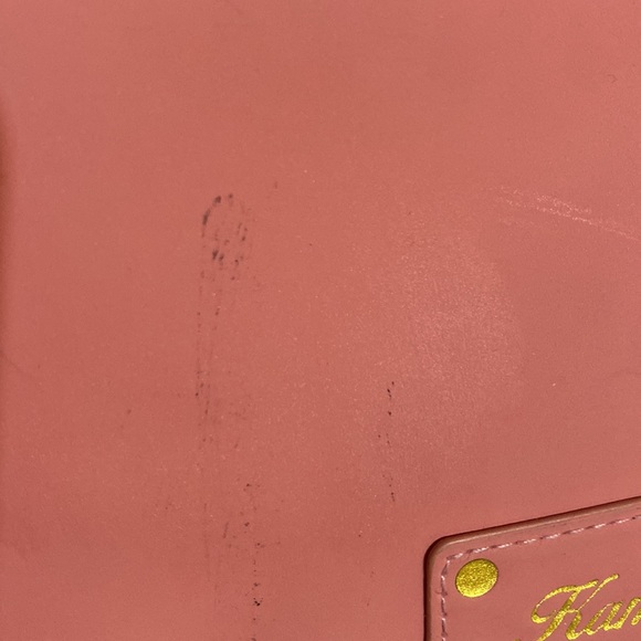 Pink Gorgeous Kambui laptop Carry-On Bag - Picture 10 of 14